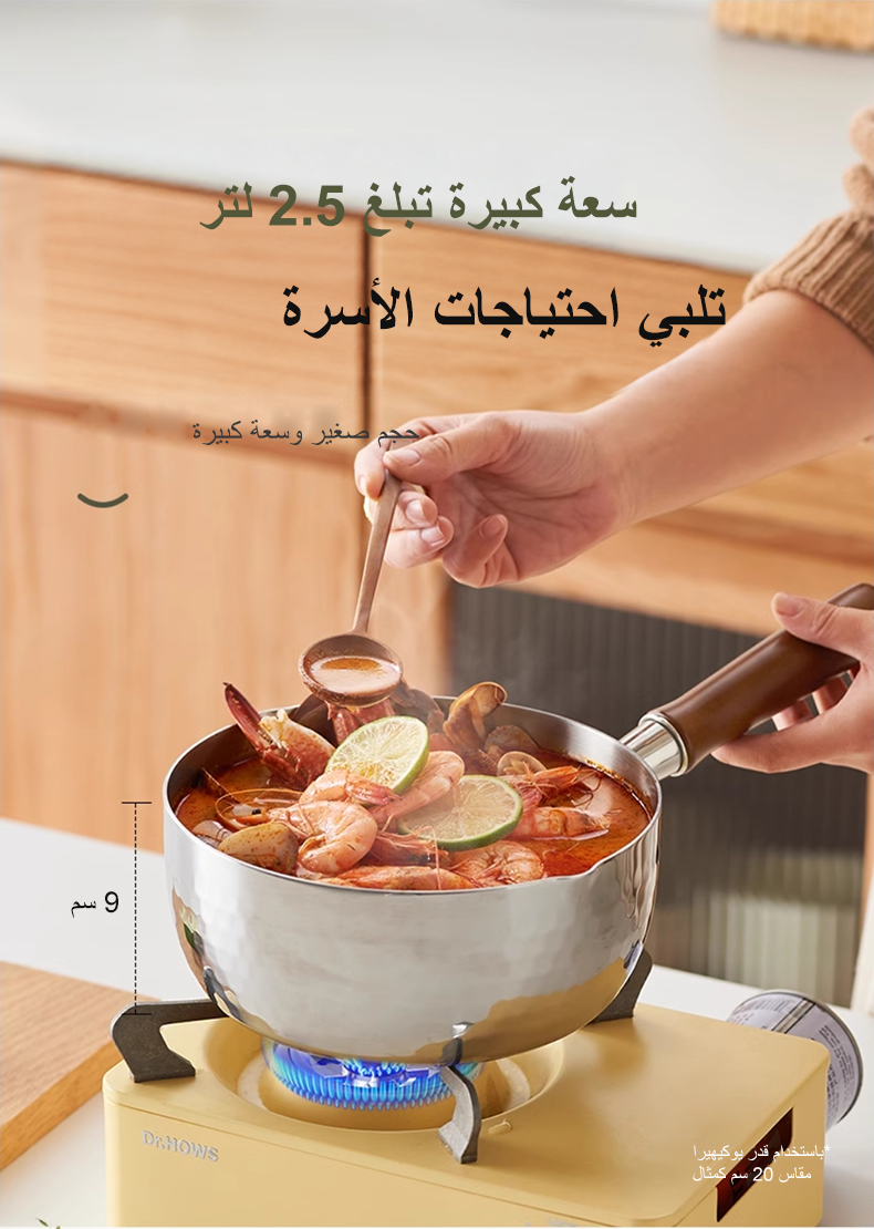 فيلوسان — قدر صلصة ستانلس ستيل 20 سم مع قدر تبخير